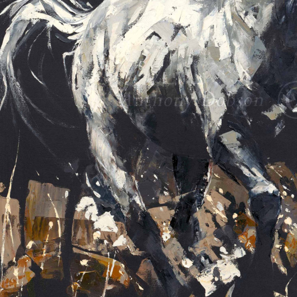 Anthony Dobson — Moon Shadow (Large Artist's Proof) (view 12)