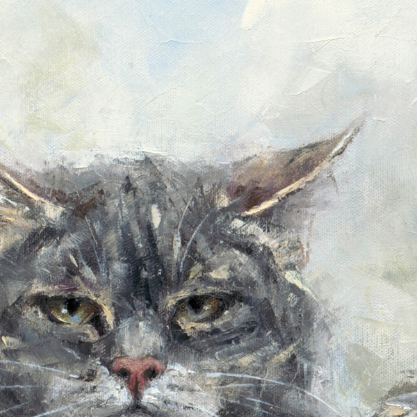 Anthony Dobson — The Neighbourhood Watch (view 13)