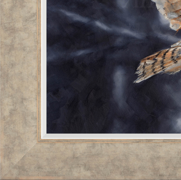 Anthony Dobson — Stealth (Large Artist's Proof) (view 12)