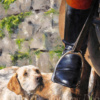 Anthony Dobson — His Master's Voice (Large Artist's Proof) (view 10)
