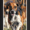 Anthony Dobson — Ahead of the Pack (Large Artist's Proof)