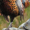 Anthony Dobson — Cock O' The North (Large Artist's Proof) (view 12)