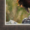 Anthony Dobson — Cock O' The North (Large Artist's Proof) (view 13)