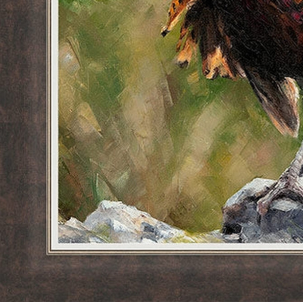 Anthony Dobson — Cock O' The North (Large Artist's Proof) (view 13)