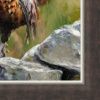 Anthony Dobson — Cock O' The North (Large Artist's Proof) (view 14)