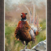Anthony Dobson — Cock O' The North (Large Artist's Proof)