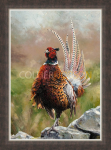 Cock O’ The North (Large Artist’s Proof), Anthony Dobson