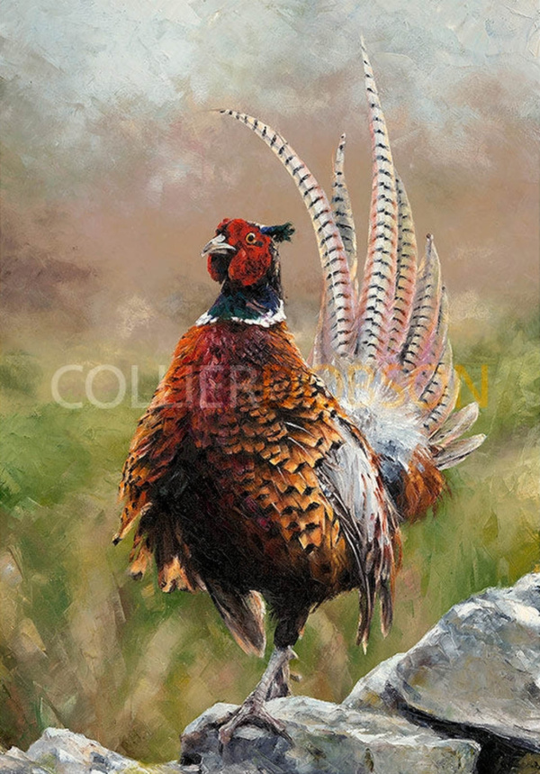 Anthony Dobson — Cock O' The North (Large Artist's Proof) (view 9)