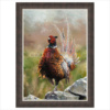 Anthony Dobson — Cock O' The North (Large Artist's Proof) (view 10)