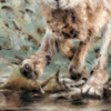 Anthony Dobson — Splosh! (Large Artist's Proof) (view 11)
