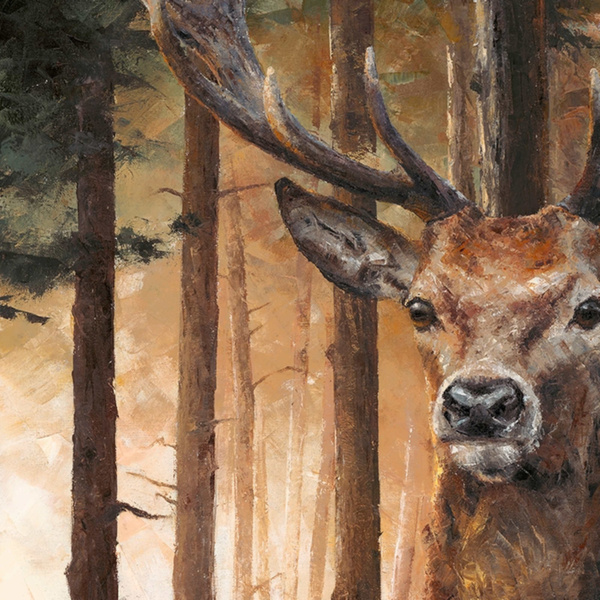 Anthony Dobson — Forest Gaze (Large Artist's Proof) (view 11)