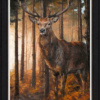 Anthony Dobson — Forest Gaze (Large Artist's Proof)