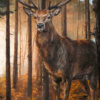 Anthony Dobson — Forest Gaze (Large Artist's Proof) (view 8)