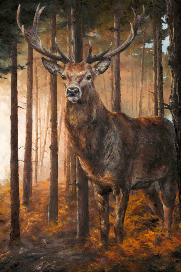 Anthony Dobson — Forest Gaze (Large Artist's Proof) (view 8)