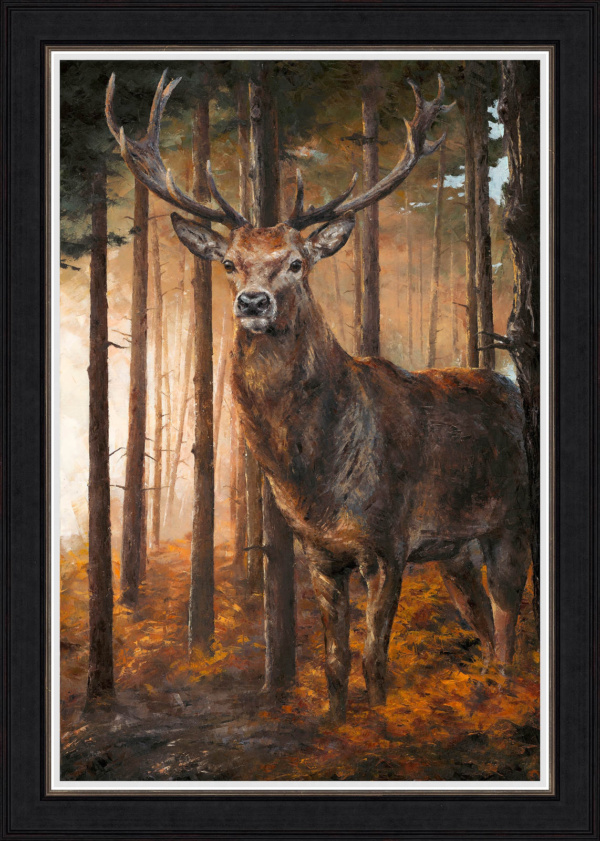 Anthony Dobson — Forest Gaze (Large Artist's Proof) (view 9)