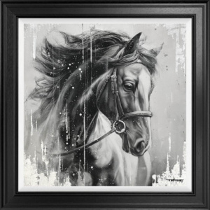 Black Knight, Ben Jeffery