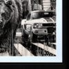 Ben Jeffery — Endangered Empire - Canvas Deluxe (view 13)