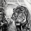 Ben Jeffery — Urban Hunter - Canvas Deluxe (view 10)