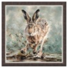 Anthony Dobson — Splosh! (Large Artist's Proof) (framed)