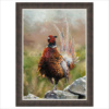 Anthony Dobson — Cock O' The North (Large Artist's Proof) (framed)