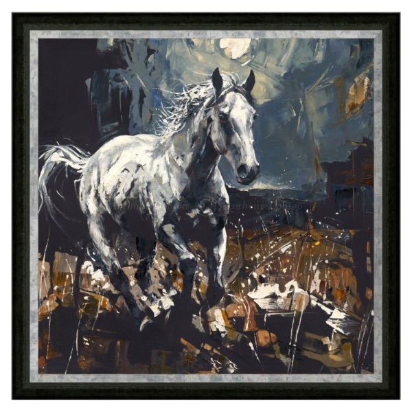 Anthony Dobson — Moon Shadow (framed)