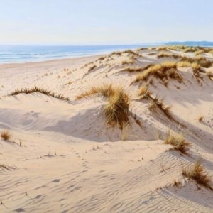 West Wittering by Juan Antonio Domínguez, oil on linen canvas, thumbnail image