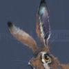 Nicky Litchfield — Spellbound (unframed)