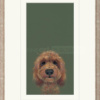 Nicky Litchfield — The Look... (framed)