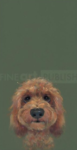 The Look…, Nicky Litchfield