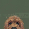 Nicky Litchfield — The Look...