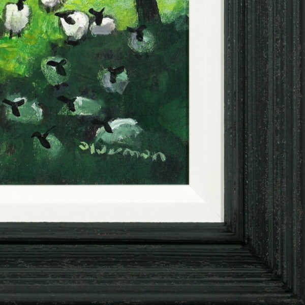 David Alderman — Shady (view 14)