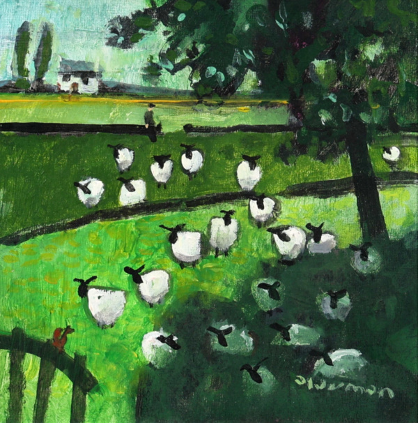 David Alderman — Shady (view 2)