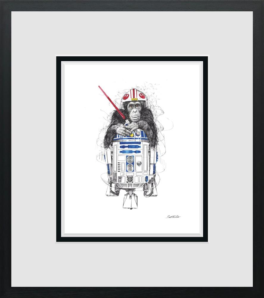 Feel The Force – Miniature