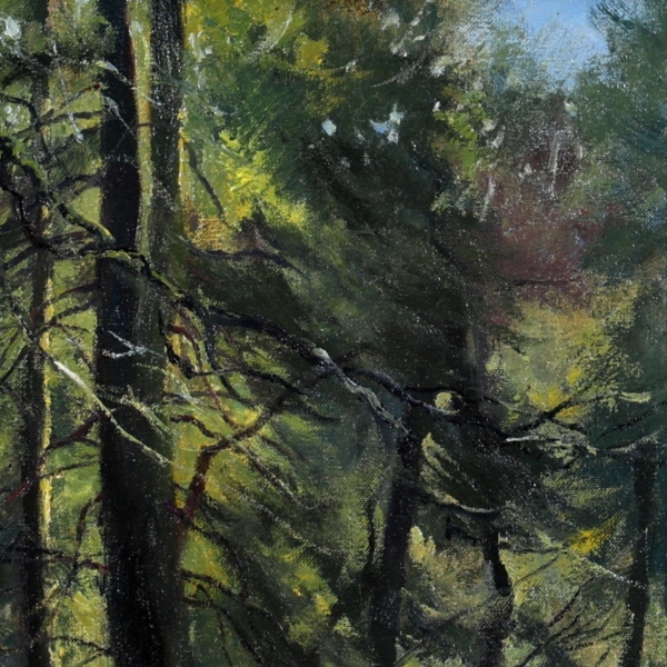 Stephen Hawkins — Forest Walk (view 11)