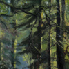 Stephen Hawkins — Forest Walk (view 12)