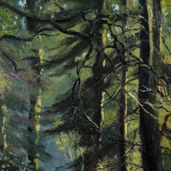 Stephen Hawkins — Forest Walk (view 12)