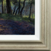 Stephen Hawkins — Forest Walk (view 14)