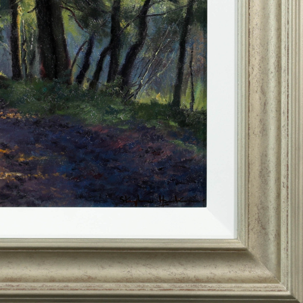 Stephen Hawkins — Forest Walk (view 14)