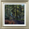 Stephen Hawkins — Forest Walk