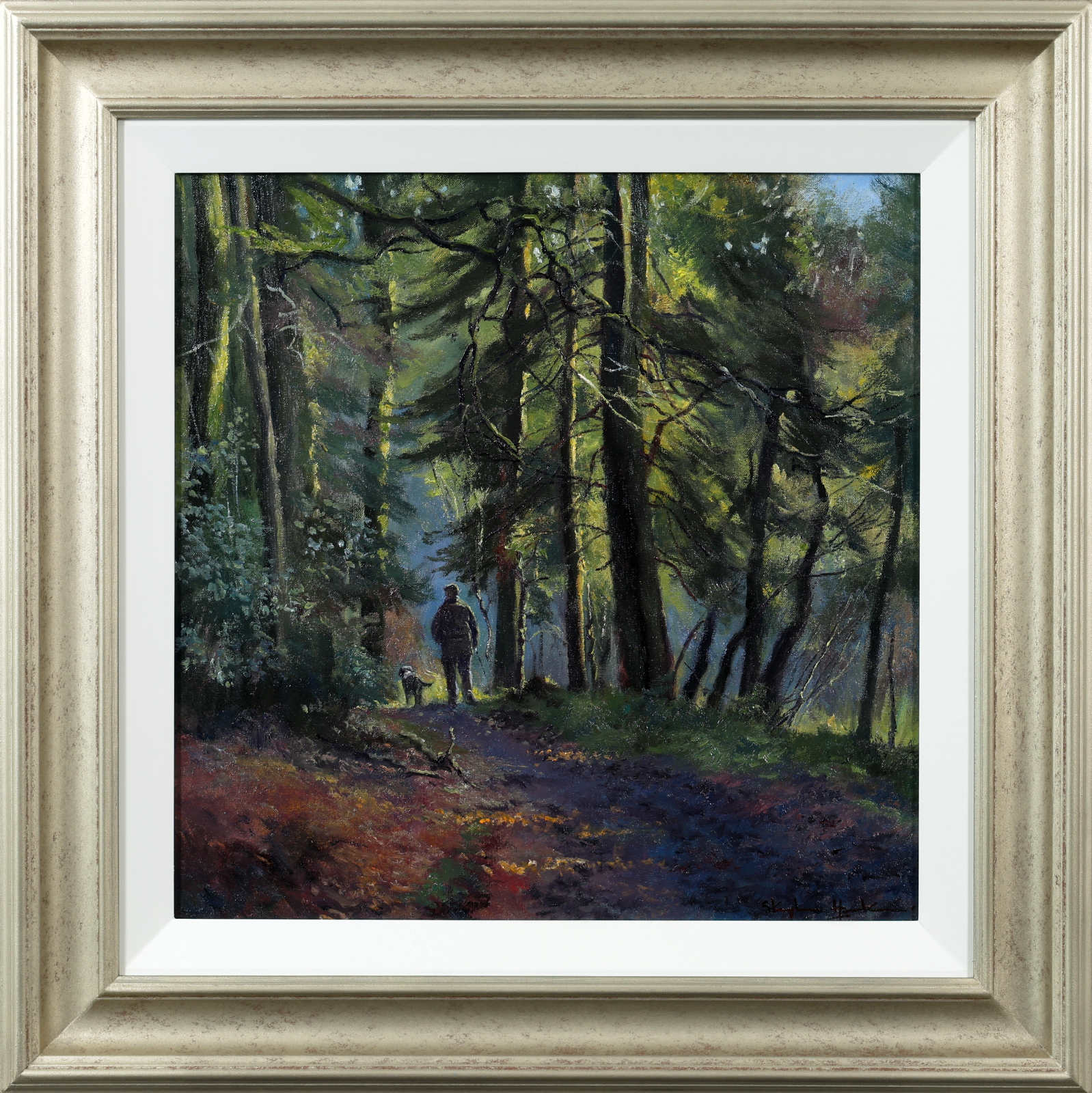 Forest Walk