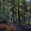 Stephen Hawkins — Forest Walk (view 9)