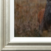 Stephen Park — Alert Stag (view 13)