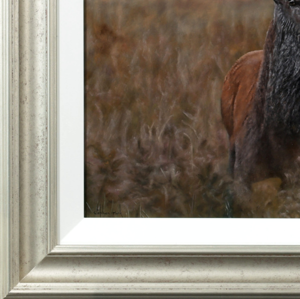 Stephen Park — Alert Stag (view 13)