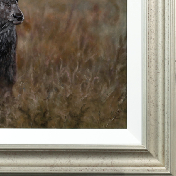 Stephen Park — Alert Stag (view 14)