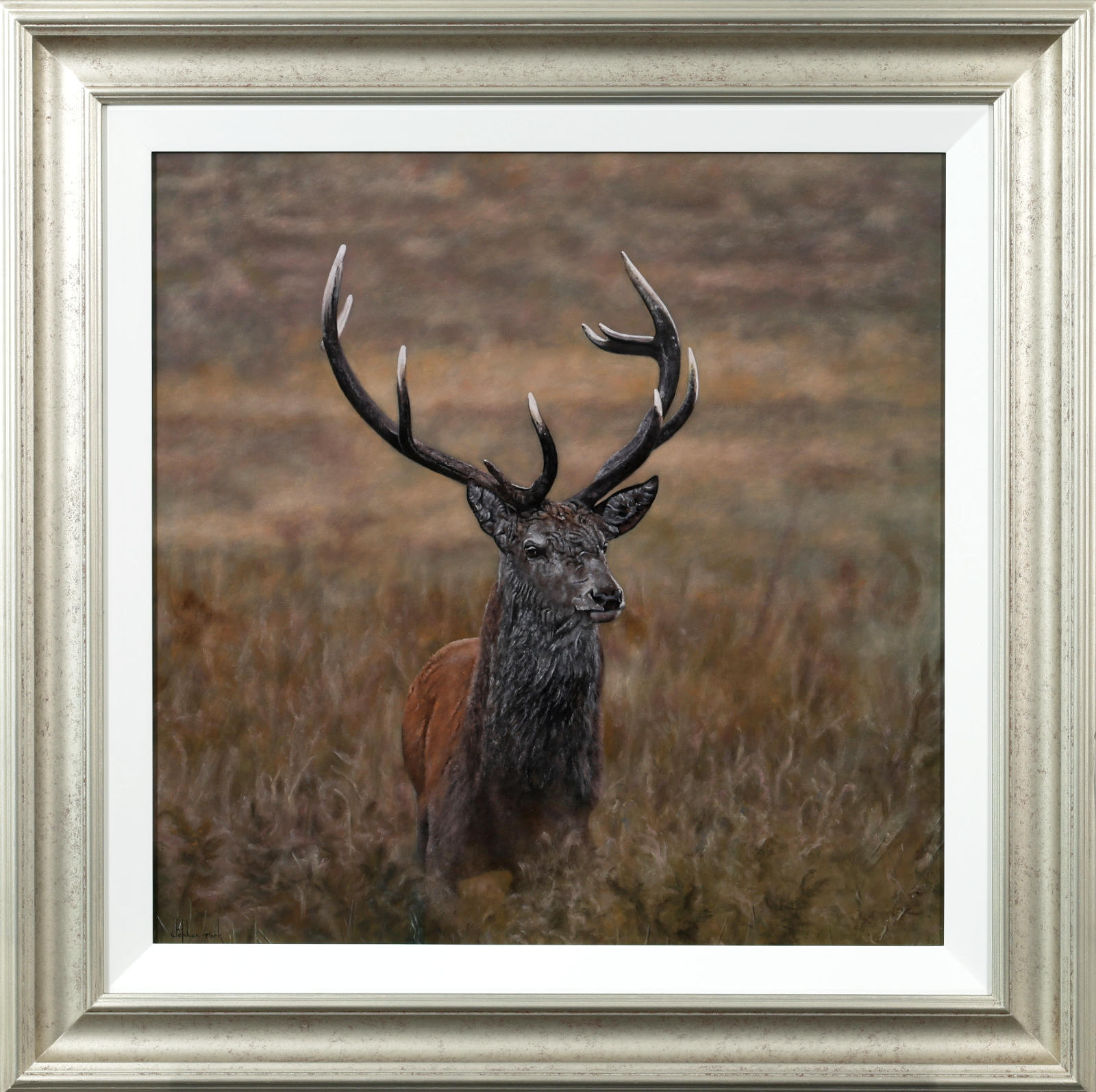 Alert Stag