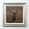 Stephen Park — Alert Stag (view 10)