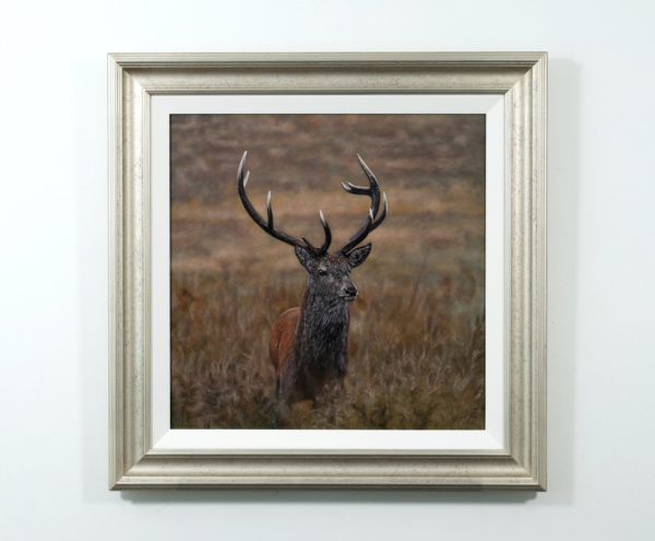 Stephen Park — Alert Stag (view 10)