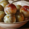 Zoltan Preiner — Freshly Picked Plums (view 3)