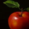 Ronald Berger — Two Red Apples (view 3)