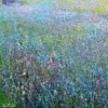 Steven McLoughlin — Woodland Glade (view 3)
